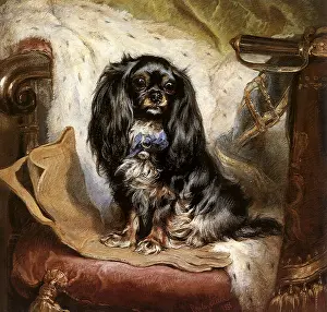 Victorias: Black Dog on Cushion