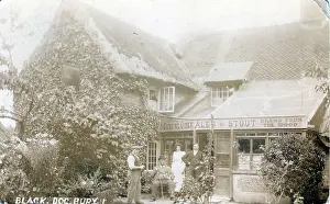 Chichester: The Black Dog and Duck