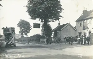 Blackbirds: Black Fen