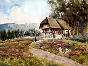 Schwarzwald: BLACK FOREST SCENE 1909