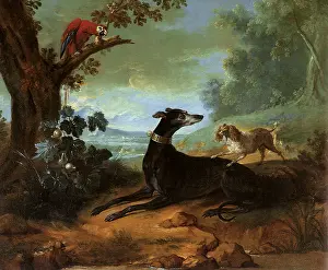 Limb: Black Greyhound
