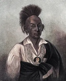 Mohican: BLACK HAWK