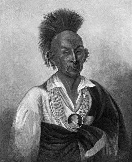 Mohican: BLACK HAWK