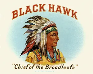Dominated: Black Hawk