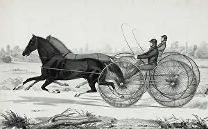 C1850: Black Hawk and Jenny Lind--Union course, L.I. Nov. 17th 1847