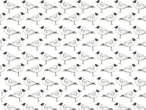Tess Hines Designs: Black Headed gull repeating pattern