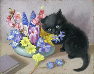 Heda: Black Kitten beside a bowl of flowers
