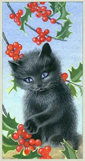 Heda: Black Kitten with Holly Berries