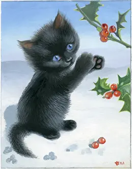 Heda: Black Kitten with holly in the snow