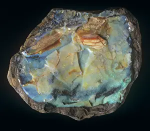 Cabochon: Black Opal cabochon