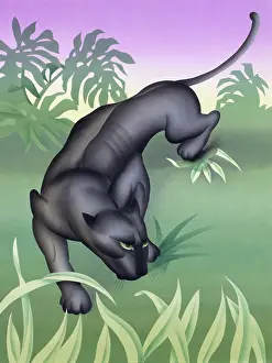 Prowl: Black Panther