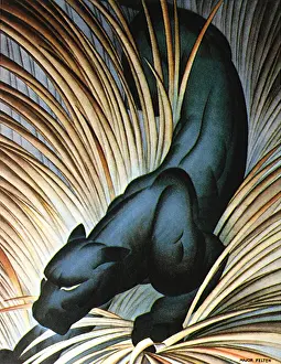 Felton: Black Panther