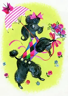 Poodles: Black Poodle with a sunshade and bunch of roses