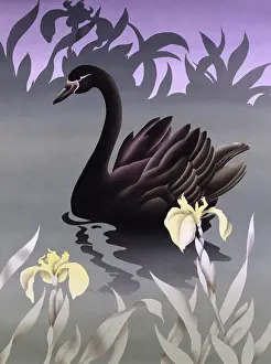 Airbrush: Black Swan