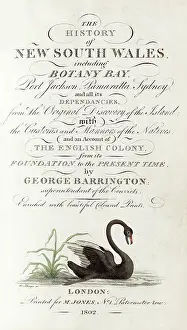 The Kings College Archives And Special Collections: Black Swan