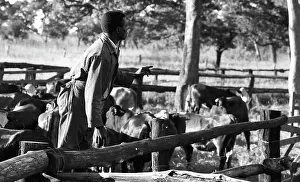 Zanu: Black and white photo of labour climbing over