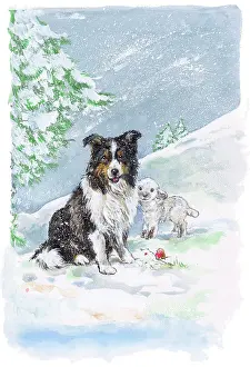 Matthes: Black and White Sheepdog and Lamb in Snow