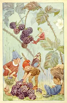 Blackberries: Blackberries