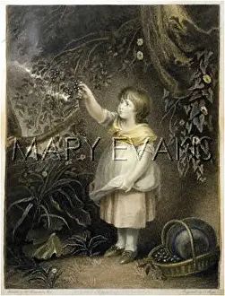 Gatherer: BLACKBERRY GATHERER