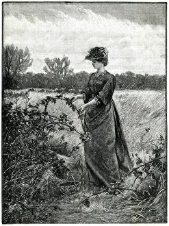 Blackberries: Blackberry picking 1880