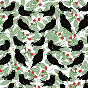 Blackbirds: Blackbirds amongst leaves and berries