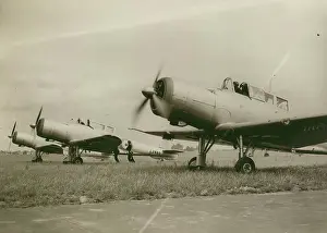 Skua: Blackburn B-24 Skua IIs