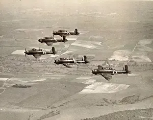 Skua: Blackburn B-24 Skua IIs