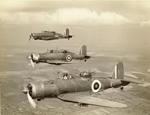 Rocs: Three Blackburn B-25 Rocs in August 1940 including L3114