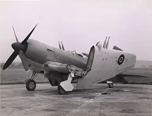 Firebrand: Blackburn B-46 Firebrand TF4 with wings folded