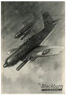 Firebrand: Blackburn Firebrand