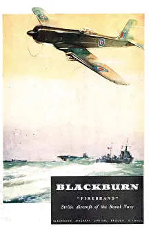 Firebrand: Blackburn Firebrand