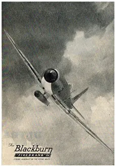 Firebrand: Blackburn Firebrand IV