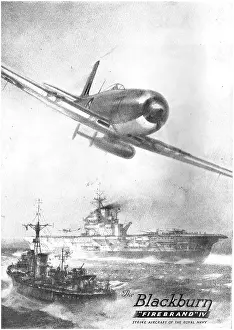 Firebrand: Blackburn Firebrand IV
