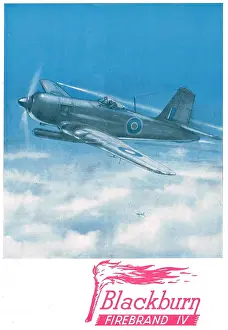 Firebrand: Blackburn Firebrand IV