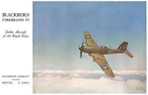 Firebrand: Blackburn Firebrand IV