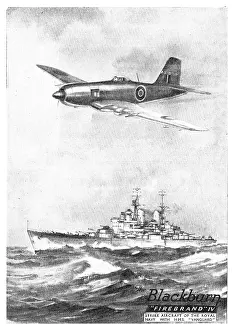 Firebrand: Blackburn Firebrand IV
