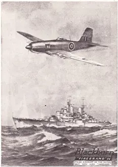 Firebrand: Blackburn Firebrand IV - HMS Vanguard