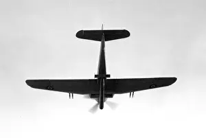 Establishment: Blackburn Firebrand TF.III DK372