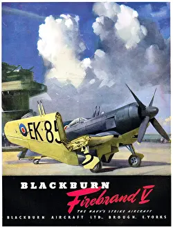 Firebrand: Blackburn Firebrand V