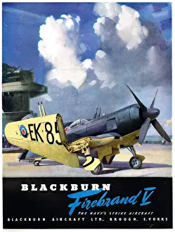 Firebrand: Blackburn Firebrand V