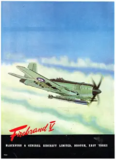 Firebrand: Blackburn Firebrand V