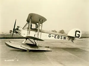 Bluebird: Blackburn L1A Bluebird II G-EBSW