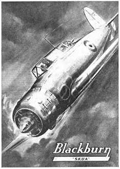 Skua: Blackburn Skua