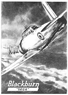 Skua: Blackburn Skua
