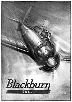 Skua: Blackburn Skua