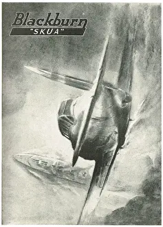Skua: Blackburn Skua