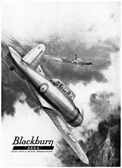 Skua: Blackburn Skua