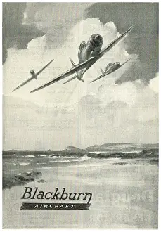 Skua: Blackburn Skua