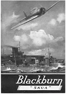 Skua: Blackburn Skua