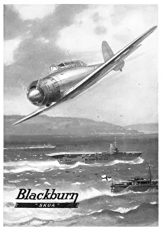 Skua: Blackburn Skua
